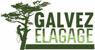 GALVEZ Élagage