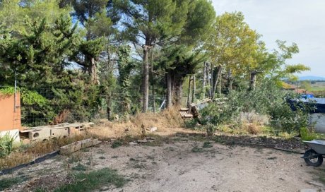 Abattage de haies à Aix en Provence 