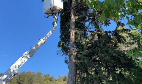 Abattage d’arbres à Jouques 