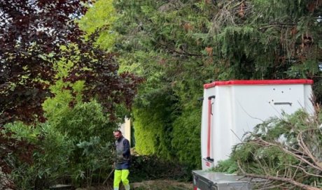 Taillage d'arbres pour désencombrer une allée de jardin vers Le-Puy-Sainte-Réparade