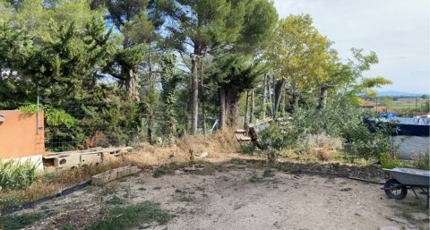 Abattage de haies à Aix en Provence 