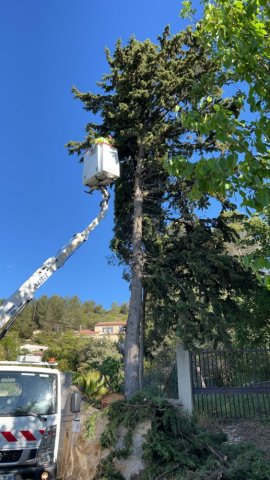 Abattage d’arbres à Jouques 