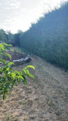 Entretien de jardin à Saint-Cannat 