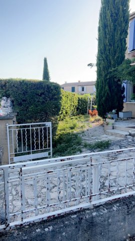 Taille de haie à Aix-en-Provence