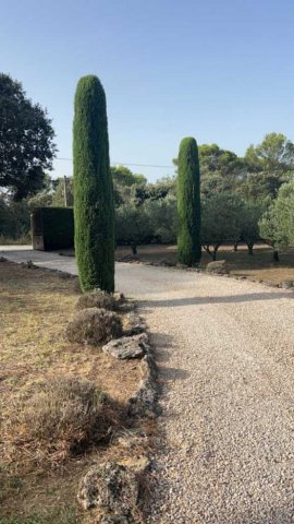 Entretien d'espaces verts à Éguilles