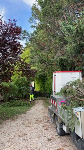 Taillage d'arbres pour désencombrer une allée de jardin vers Le-Puy-Sainte-Réparade