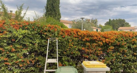 Jardinier pour taille de haie à Venelles