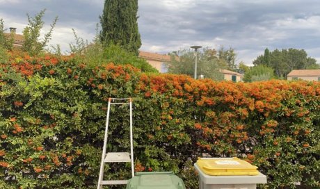 Jardinier pour taille de haie à Venelles